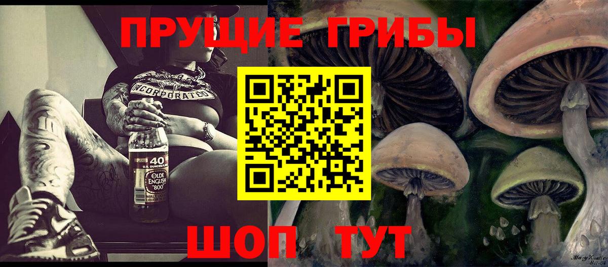 Минусинск  Псилоцибиновые грибы прущие грибы  Вход с VPN 