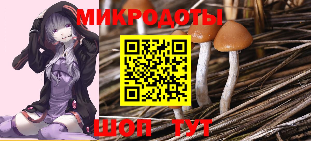Галлюциногенные грибы Magic Shrooms Минусинск